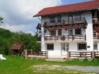 Виллы Vila Doina Branului Бран Вилла-75