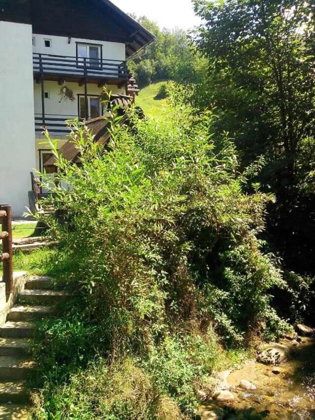 Виллы Vila Doina Branului Бран-99